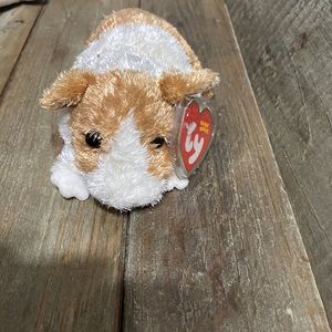 Ty Beanie Babies Baby Twitch the Guinea Pig Rare Vintage Collectible Plush Fuzzy